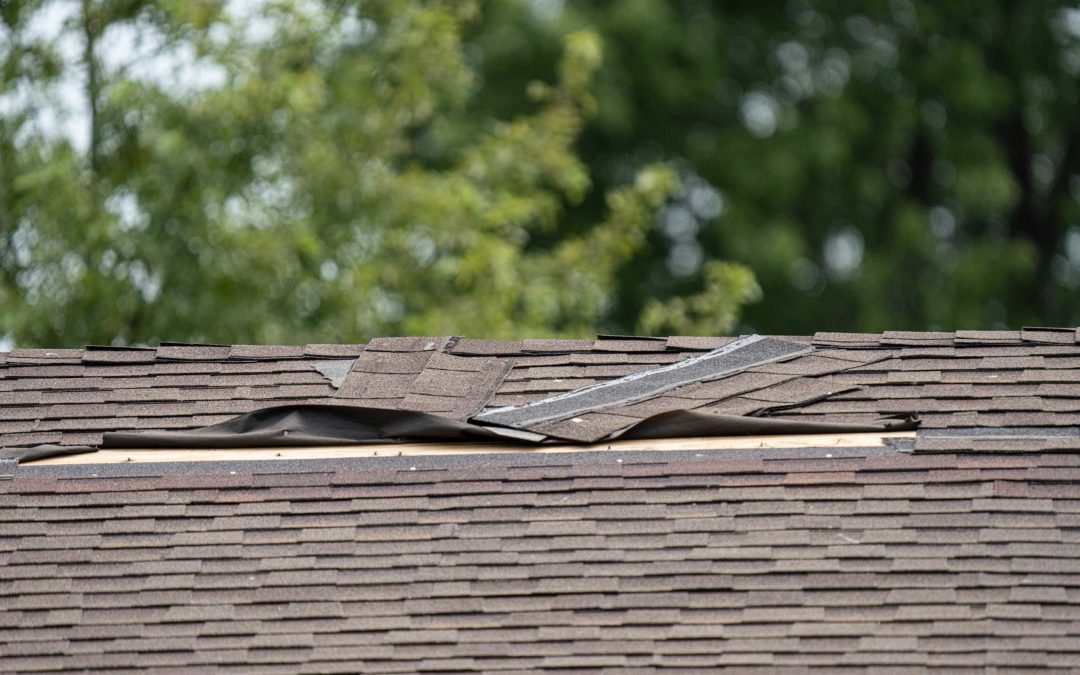 Roof Leaks 101: Everything You Need to Know