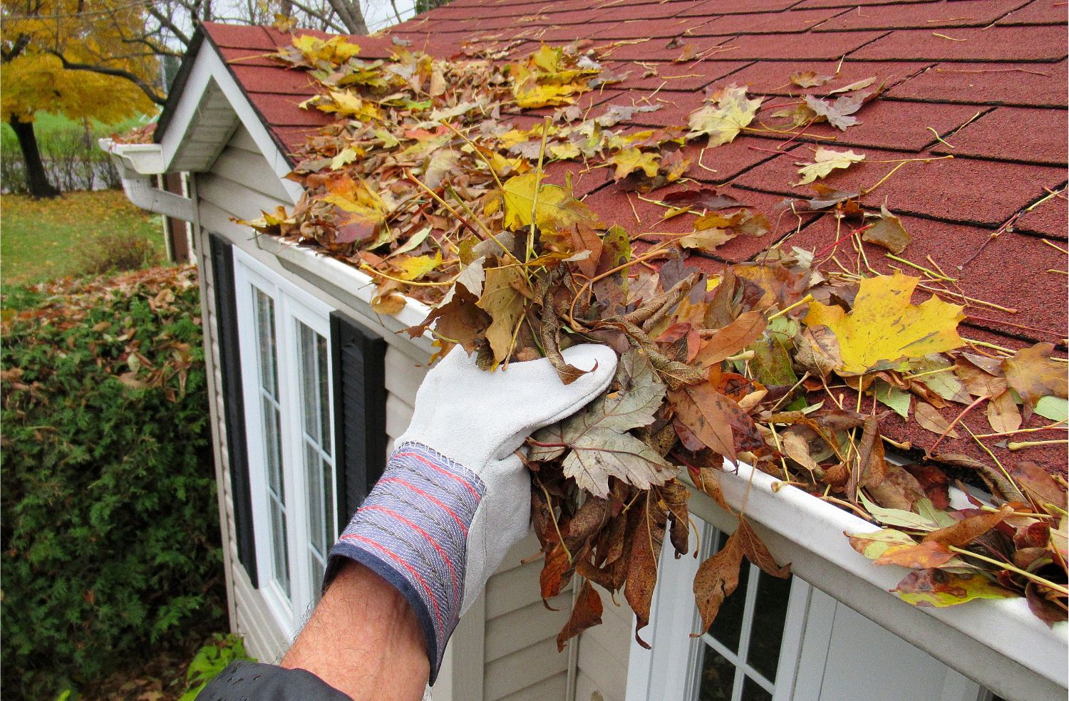 When the gutters are neglected, they can lead to water damage, a leaky roof, a damaged foundation, and other serious and expensive structural issues